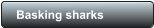 Basking sharks