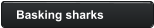 Basking sharks