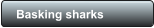 Basking sharks