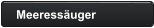 Meeressäuger