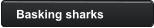 Basking sharks