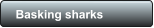 Basking sharks