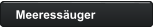 Meeressäuger