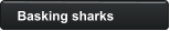 Basking sharks