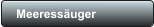 Meeressäuger