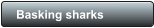 Basking sharks