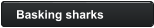 Basking sharks