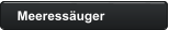 Meeressäuger
