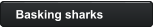 Basking sharks