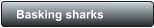 Basking sharks
