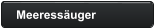 Meeressäuger