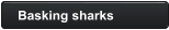 Basking sharks