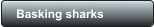 Basking sharks