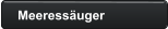 Meeressäuger