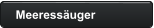 Meeressäuger