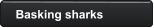 Basking sharks
