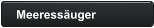 Meeressäuger