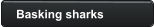 Basking sharks