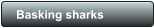 Basking sharks