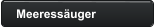 Meeressäuger