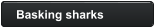 Basking sharks