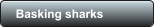Basking sharks