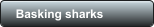 Basking sharks
