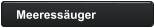 Meeressäuger