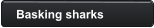 Basking sharks