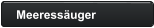 Meeressäuger