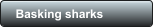 Basking sharks