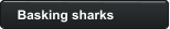 Basking sharks