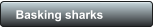 Basking sharks