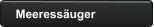 Meeressäuger