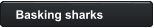 Basking sharks