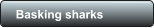 Basking sharks
