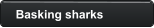 Basking sharks