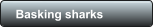 Basking sharks