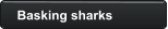 Basking sharks