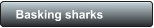 Basking sharks