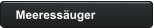Meeressäuger