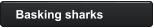 Basking sharks